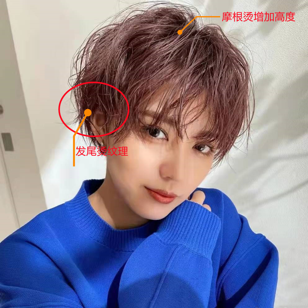 本期发型话题,就给留短发的女生们分享一种今年很流行的烫发方式