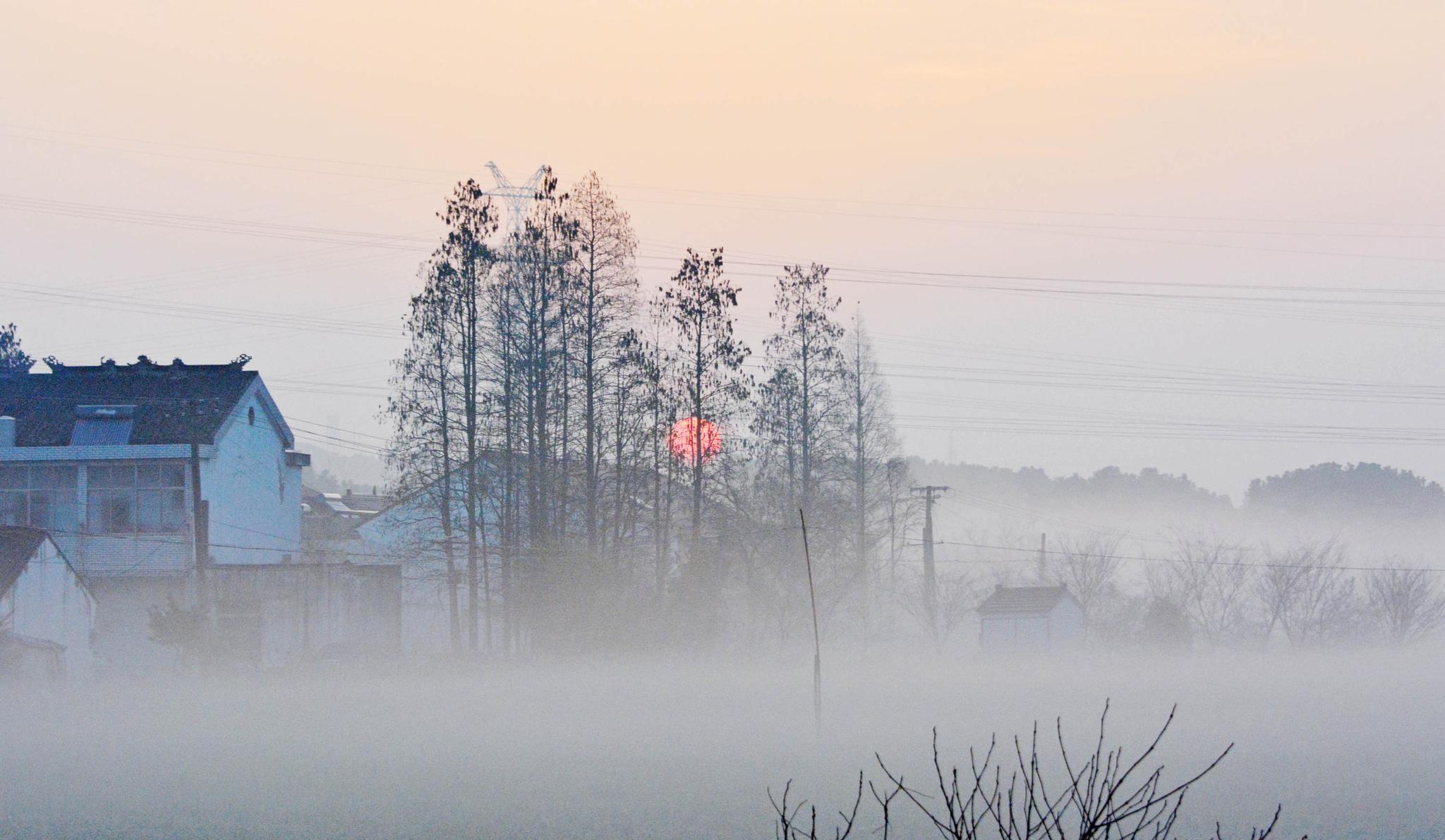 雾里乡村美如画