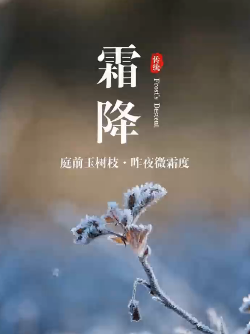 大连人注意，“霜降”有雨，新一股冷空气下周到货