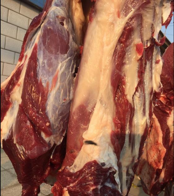 宰一头牛,肉分为牛的