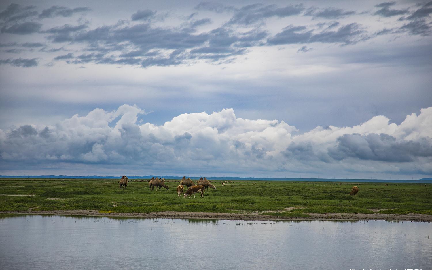 内蒙古第二大湖泊,赤峰达里湖,如大海般辽阔,水天一色格外迷人