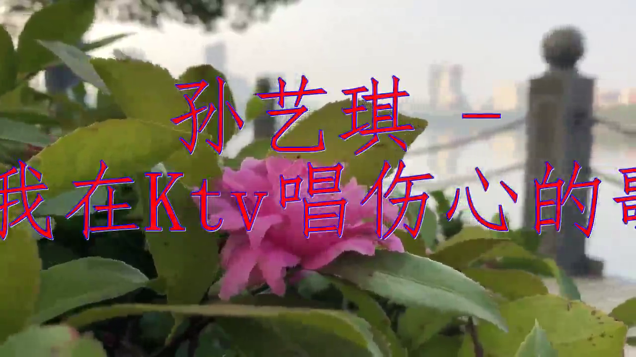 dj何鹏的《对白》,唱的太棒了,轻灵飘逸
