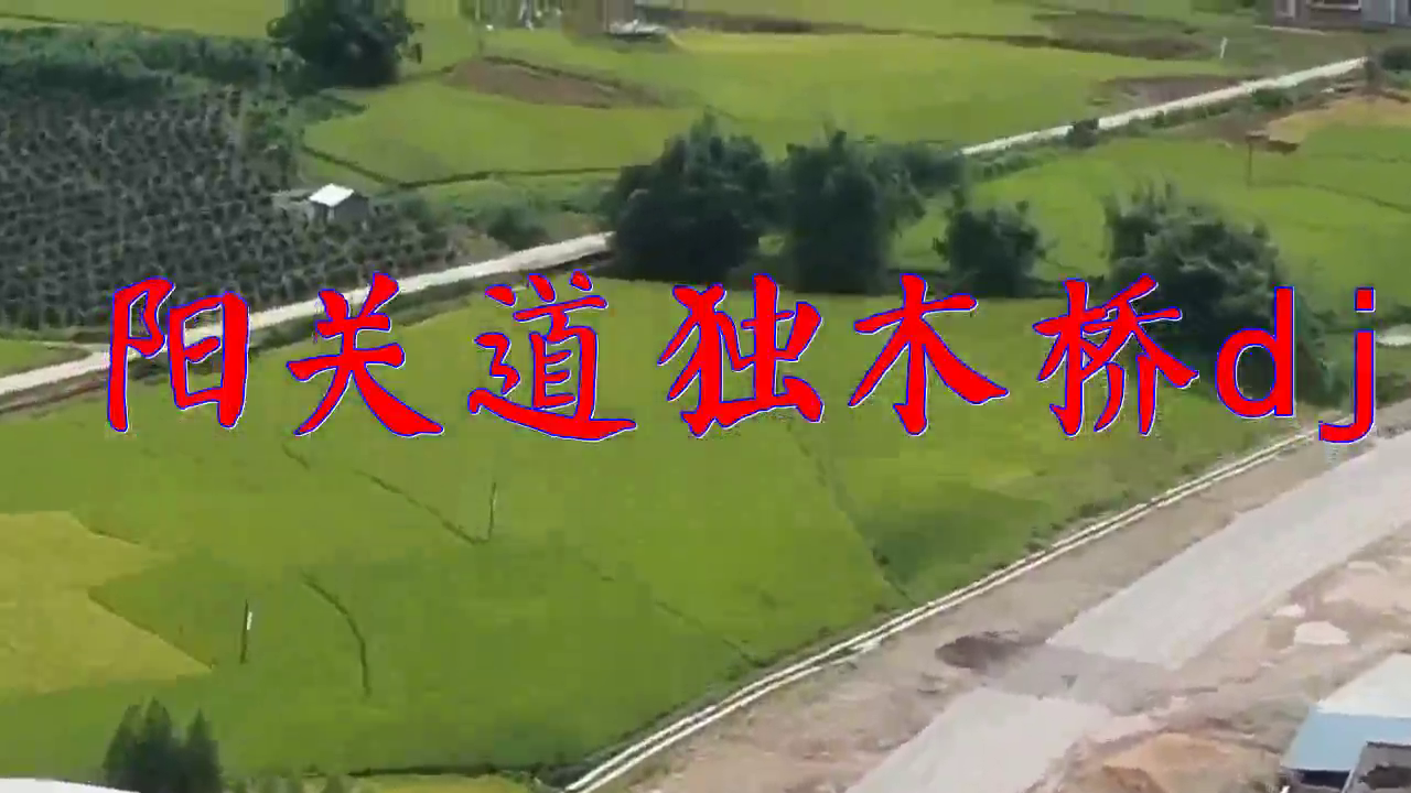 好歌分享,《阳关道独木桥dj》,极致动听,洋洋盈耳