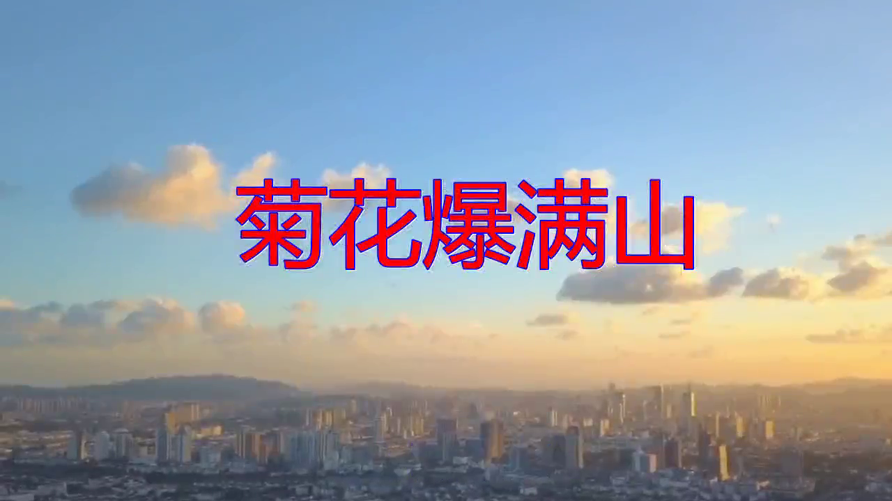 dj的菊花爆满山字正腔圆字字真情