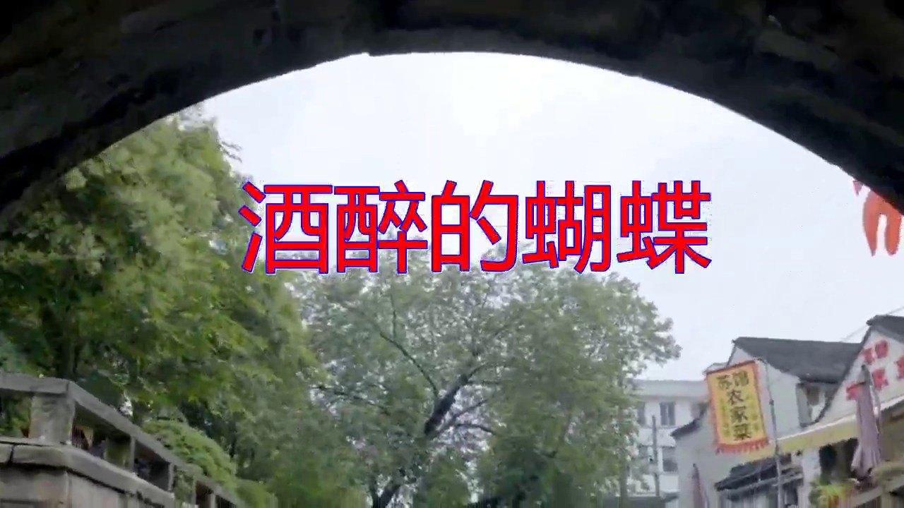崔伟立的《酒醉的蝴蝶》,沁人心脾,令人回味无穷