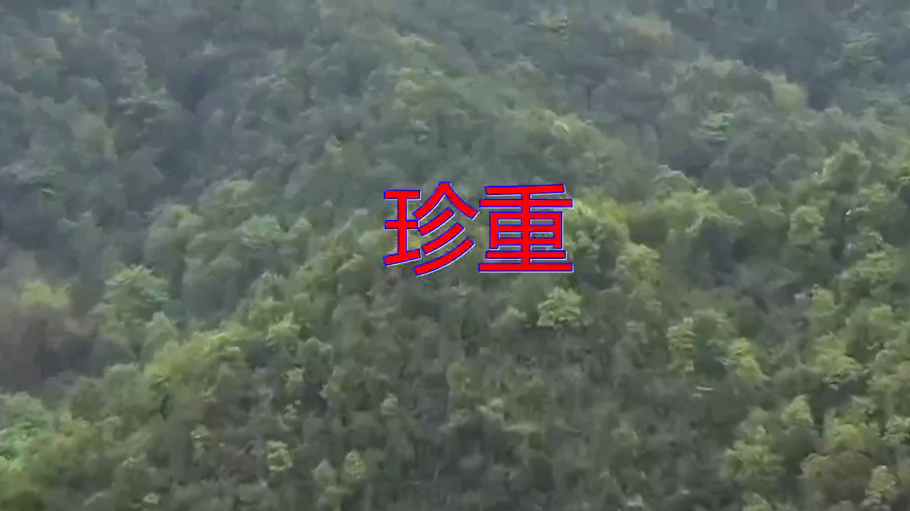 分享谭咏麟的经典歌曲《珍重》,送给最美的你和爱你的人!