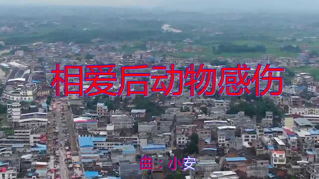 分享一首《相爱后动物感伤》,余音绕梁,刚柔并济