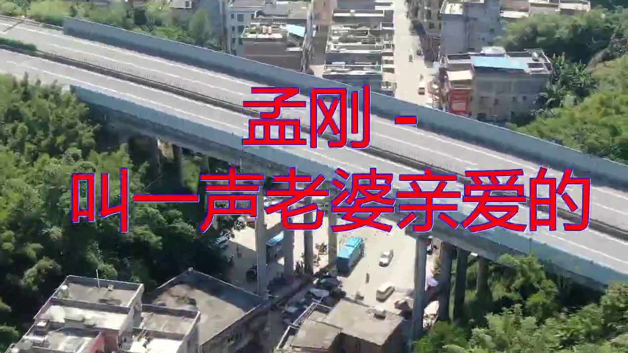 dj何鹏的《孟刚 - 叫一声老婆亲爱的》,如银铃清脆悦耳