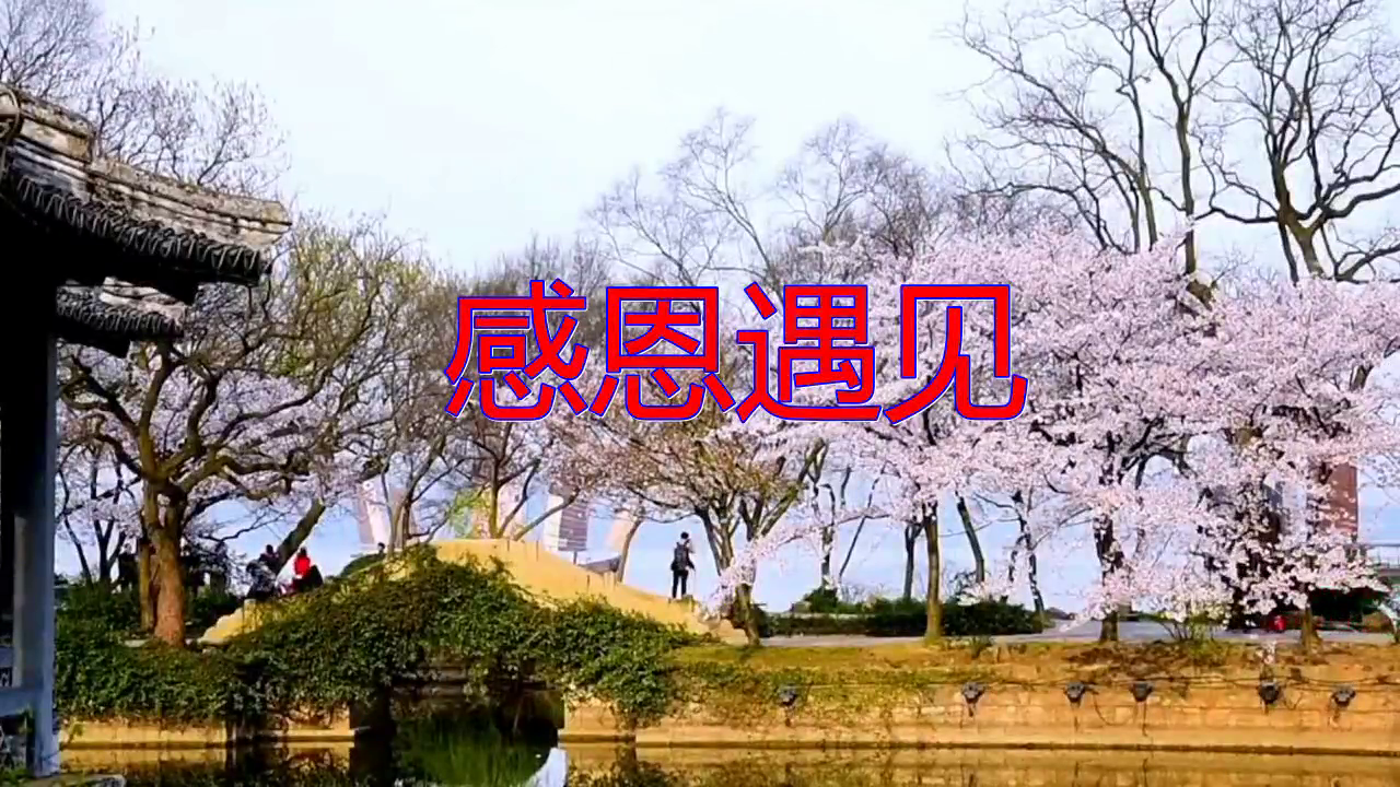刘馨月的一首《感恩遇见》,深入人心,回味无穷
