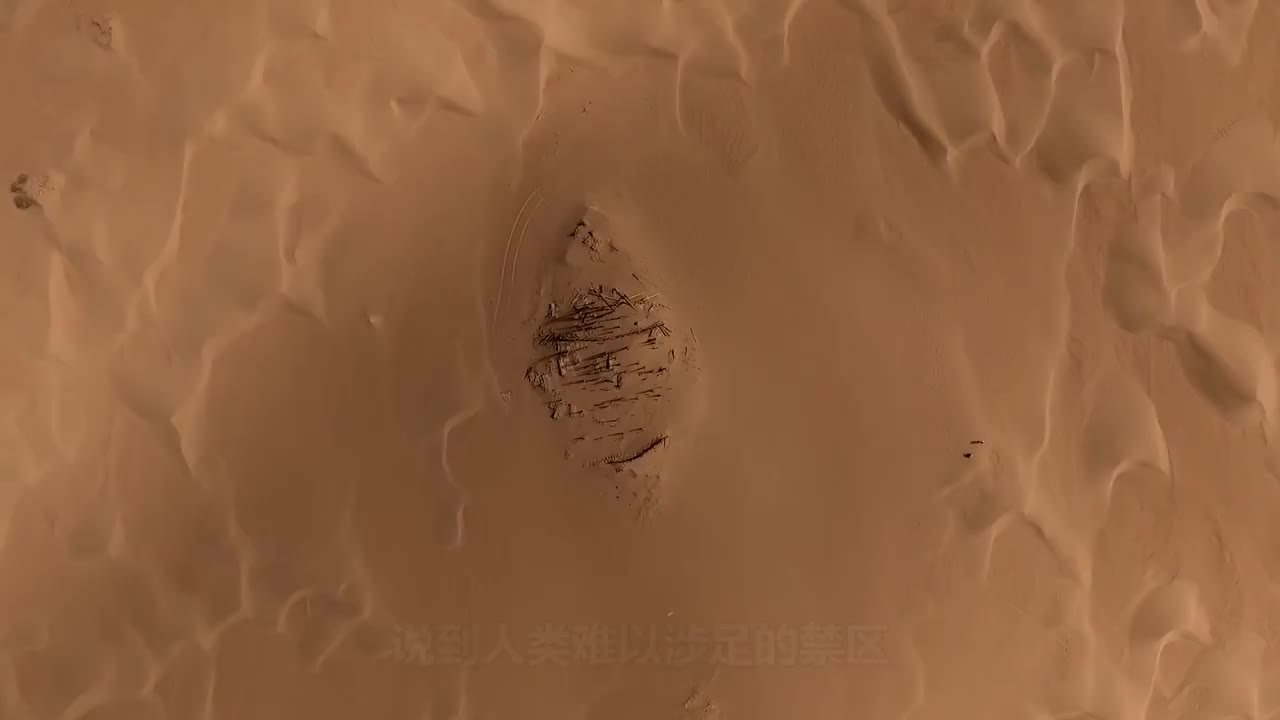 亚马逊森林为什么是人类禁区？表面是绿色天堂，到底有什么危险？