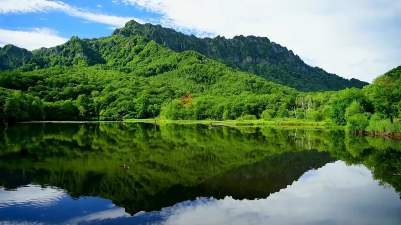 火爆的彝族风味的弥渡山歌喜庆俏皮一看就深深的喜欢上了
