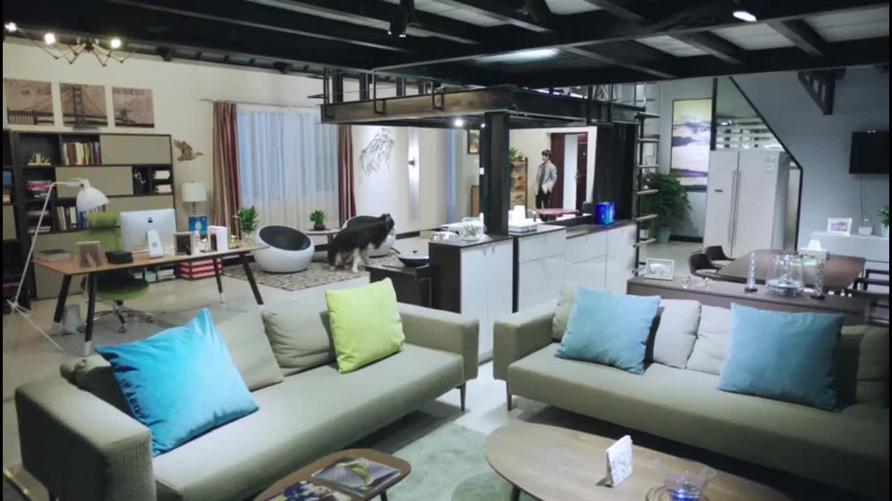 急诊科医生:江晓琪带男孩回家,约法三章,是女人就可以不讲理