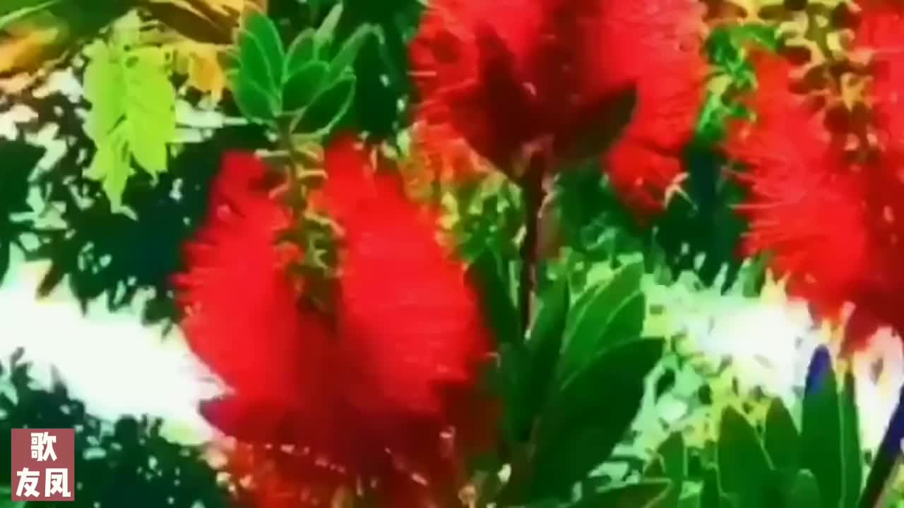 陕北好听的民歌排行榜_超好听的一首新创民歌最爱大陕北分享给你!!
