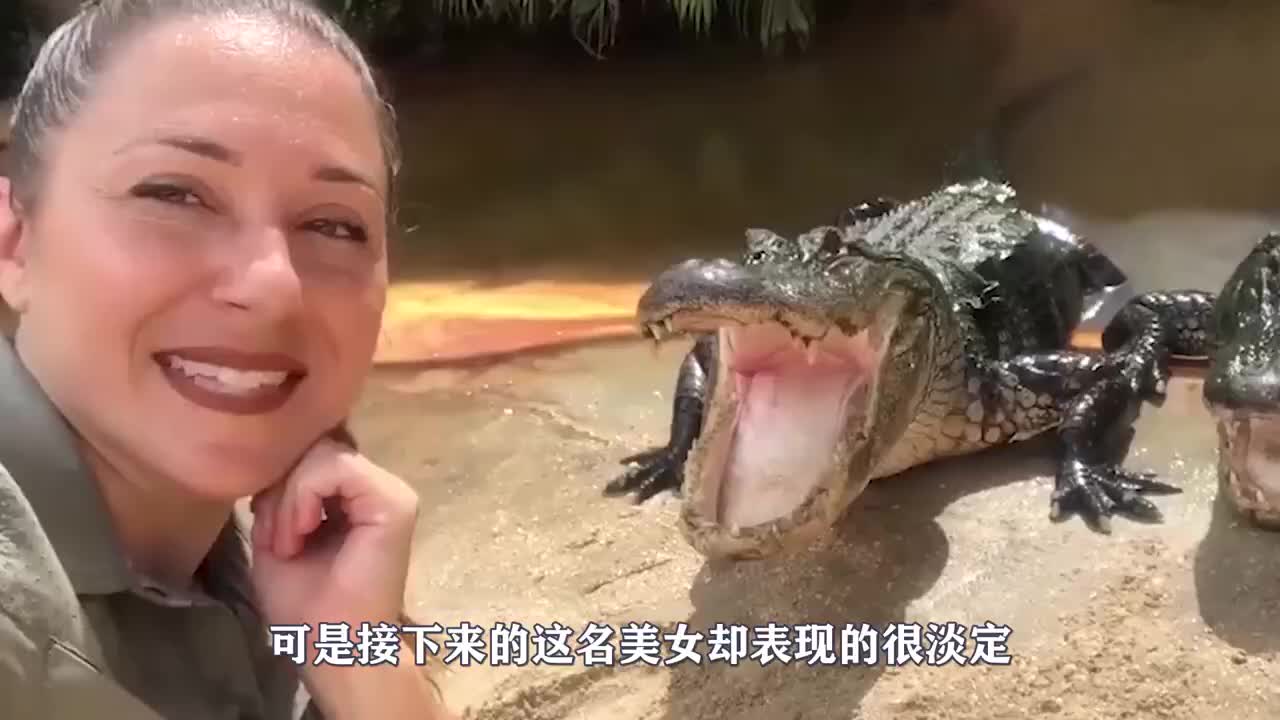 美女大胆调戏鳄鱼直接将脑袋塞了进去