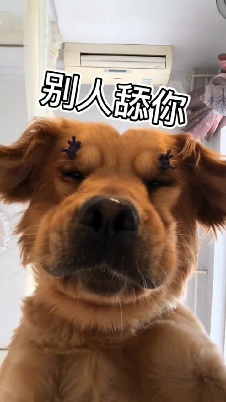 720_1280竖版 竖屏