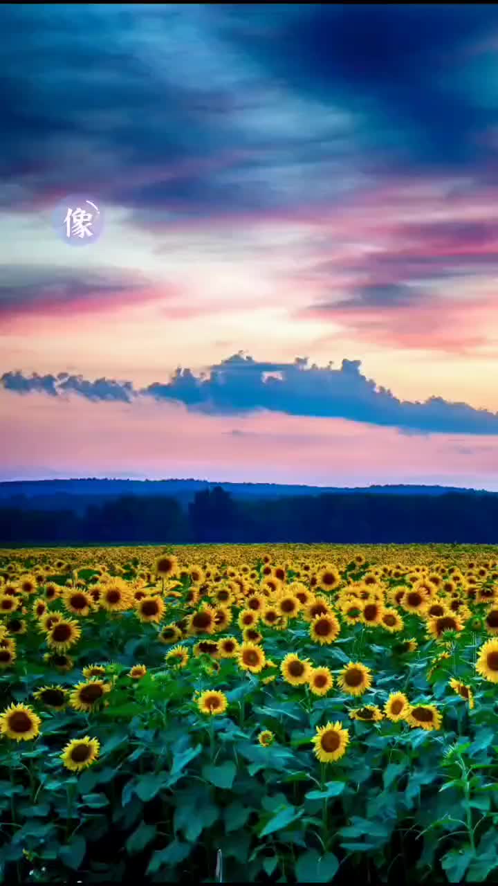 你的眼神治愈系大自然的美旅行__财经头条