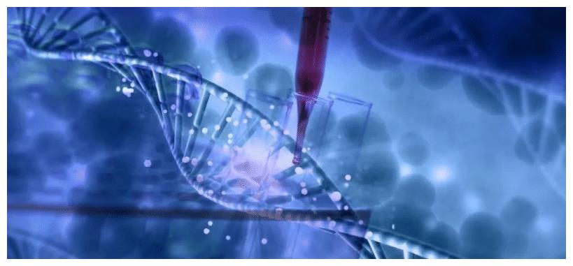 21高一新生选课迎新变化,新高考模式改了,又将回归大文大理时代休闲区蓝鸢梦想 - Www.slyday.coM 21高一新生选课迎新变化,新高考模式改了,又将回归大文大理时代休闲区蓝鸢梦想 - Www.slyday.coM