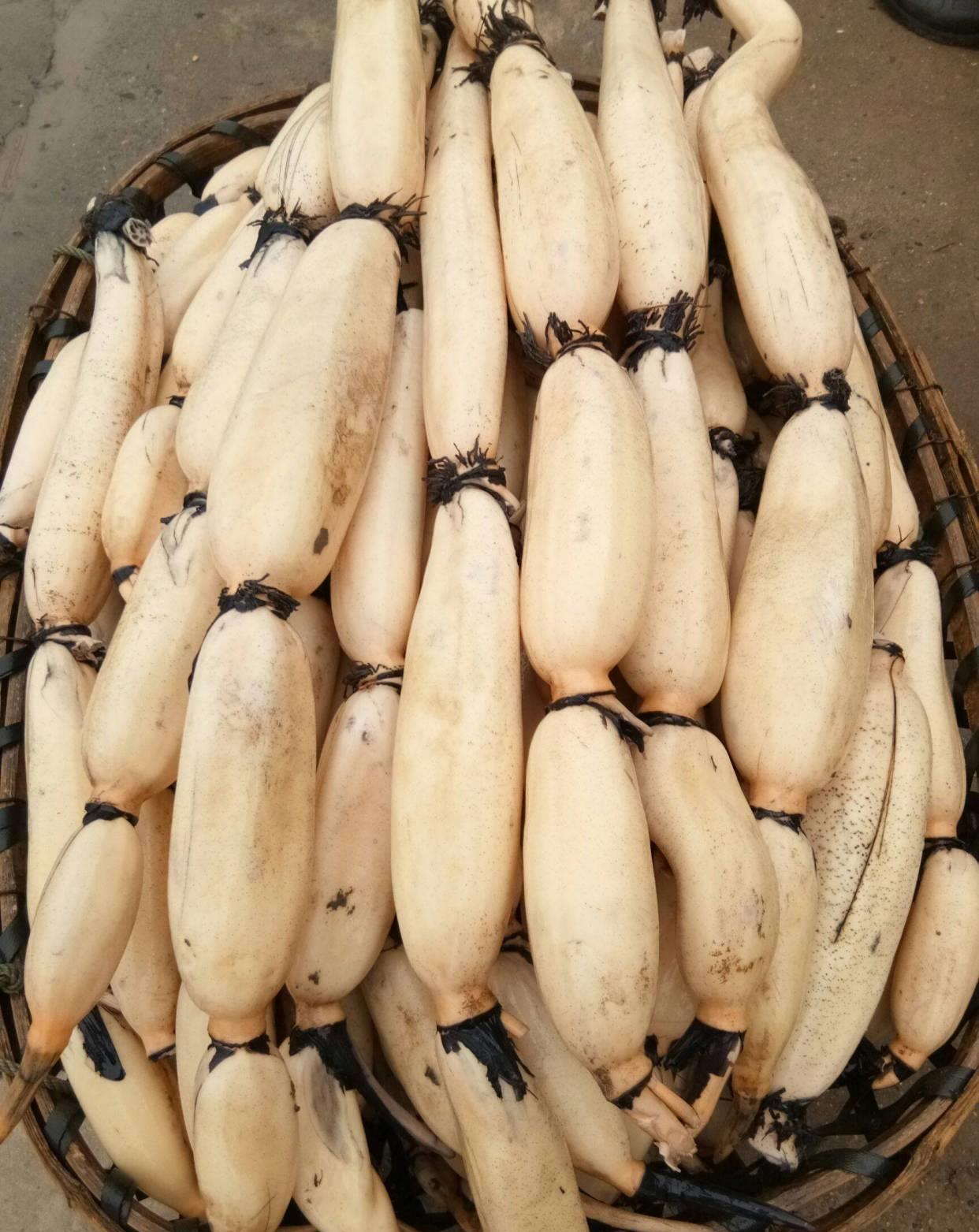 买莲藕时,"粉藕"和"脆藕"不会区分?藕农教你5招轻松区分!