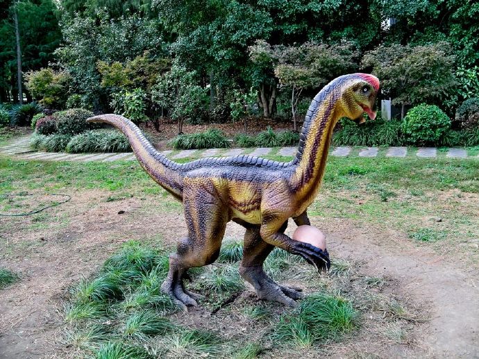 中华贝贝龙化石显示,它是长有羽毛并且有喙,与鸟类近亲的窃蛋龙