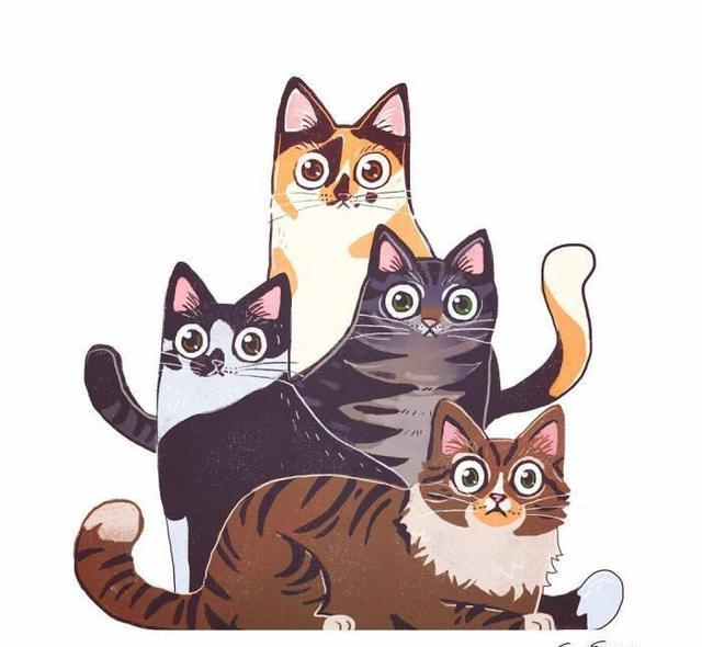 猫咪：为什么叫猫，猫字的由来|秦汉_新浪新闻