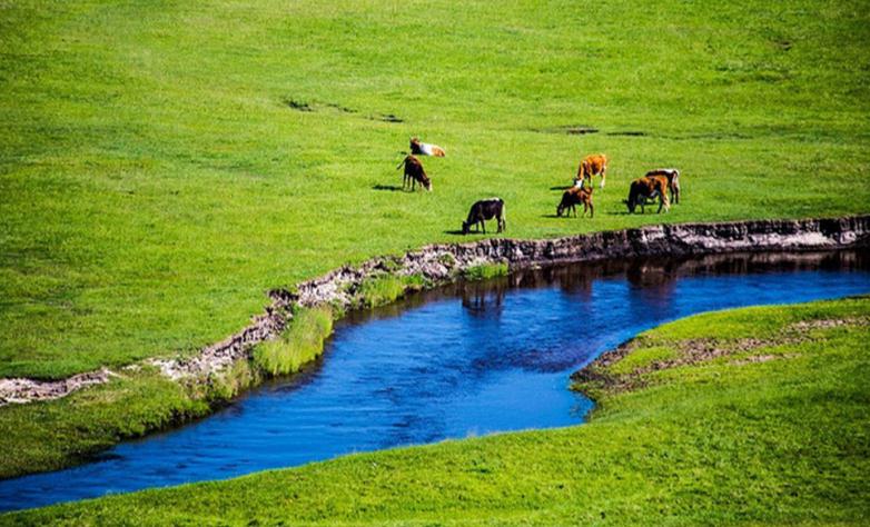 大草原|草原|温带草原_新浪新闻