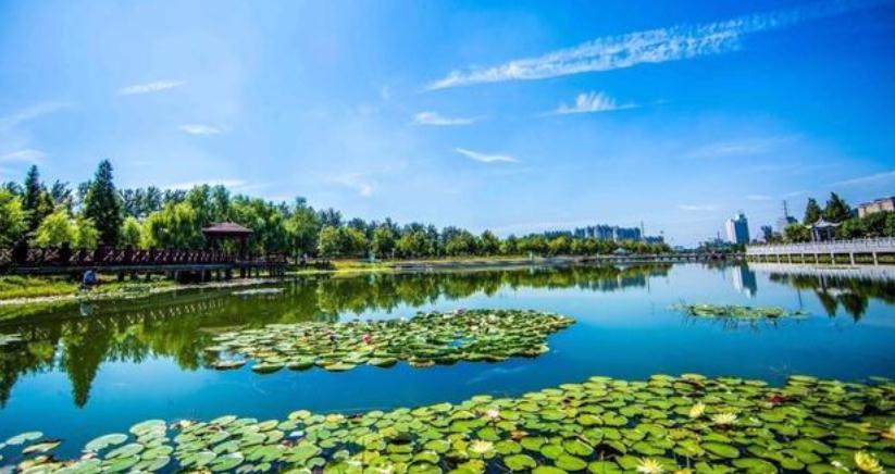 2020河南省城市排名_2020年1-11月河南省产业投资前十城市排名(产业篇)(2)