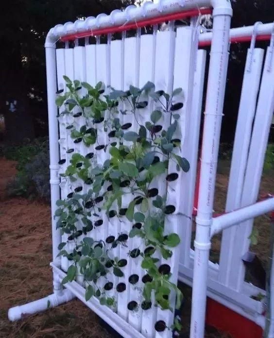 朋友建新房废弃的水管捡回家养花,布置成垂直景观,朋友夸我省钱