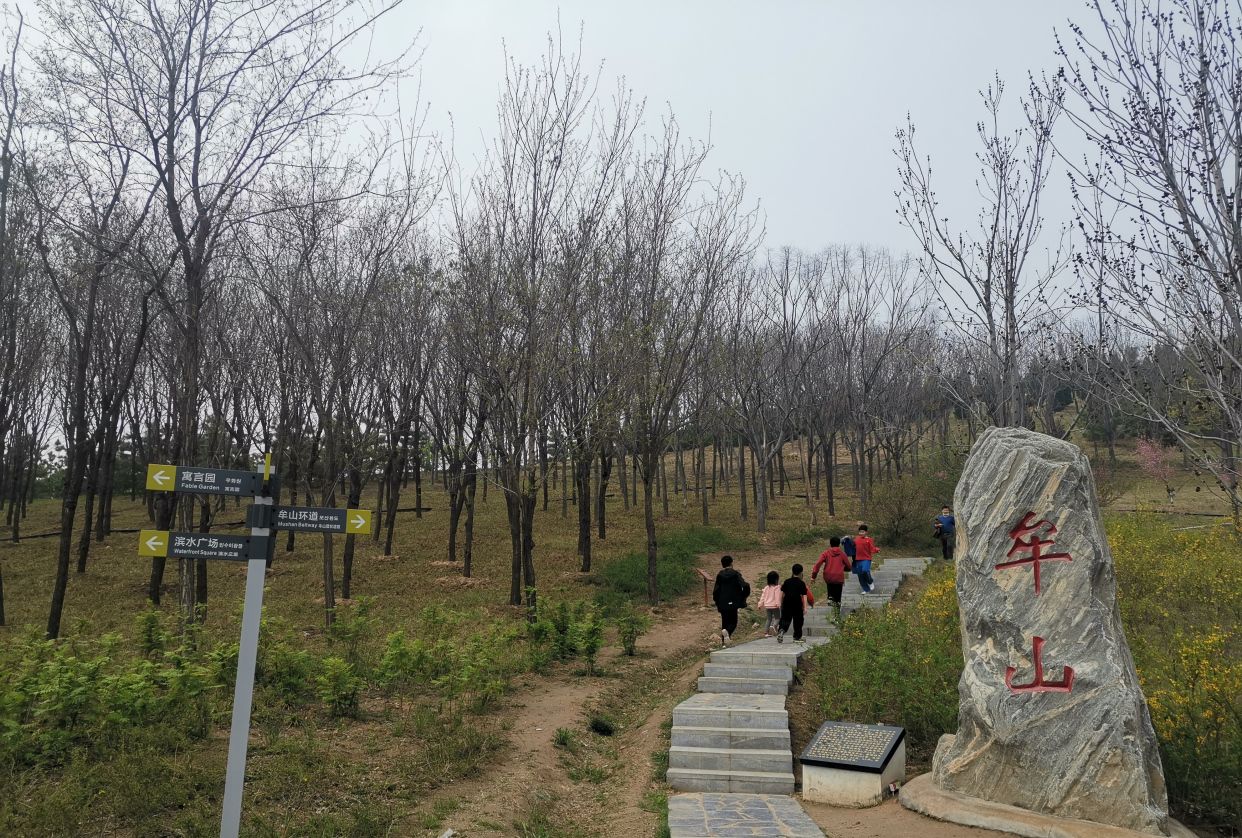 郑州市东郊中牟湿地公园_高清图集_新浪网