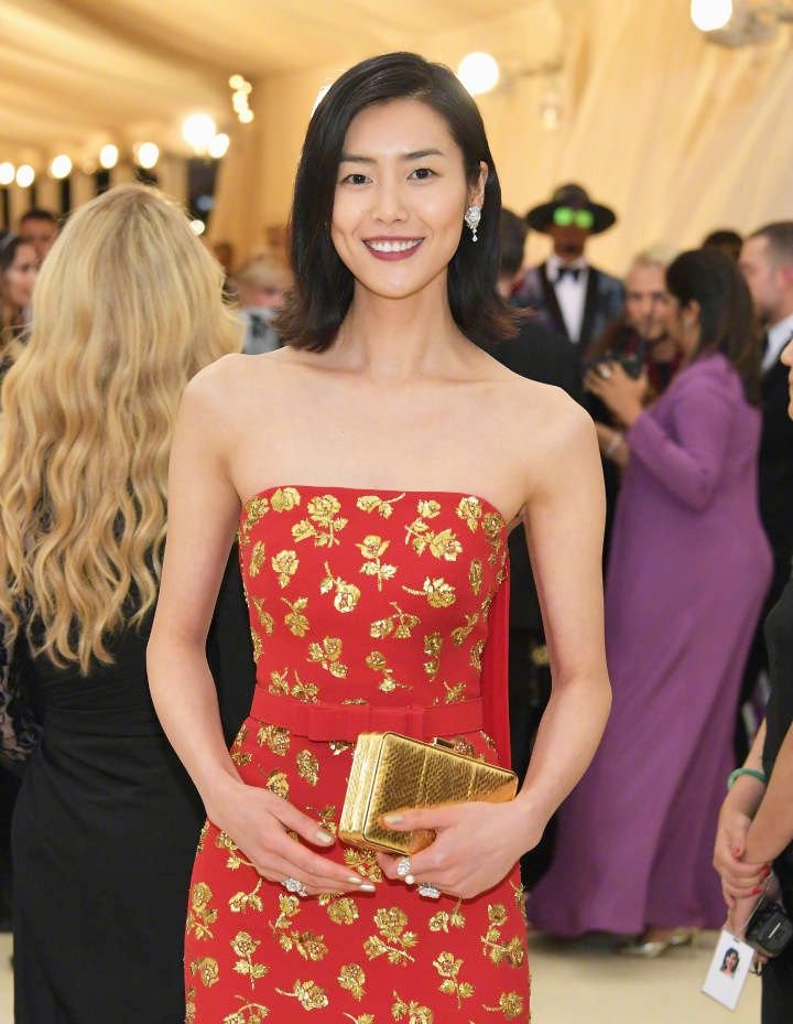 红毯上的东方美人系列 刘雯篇 红毯上的东方美人系列 刘雯篇