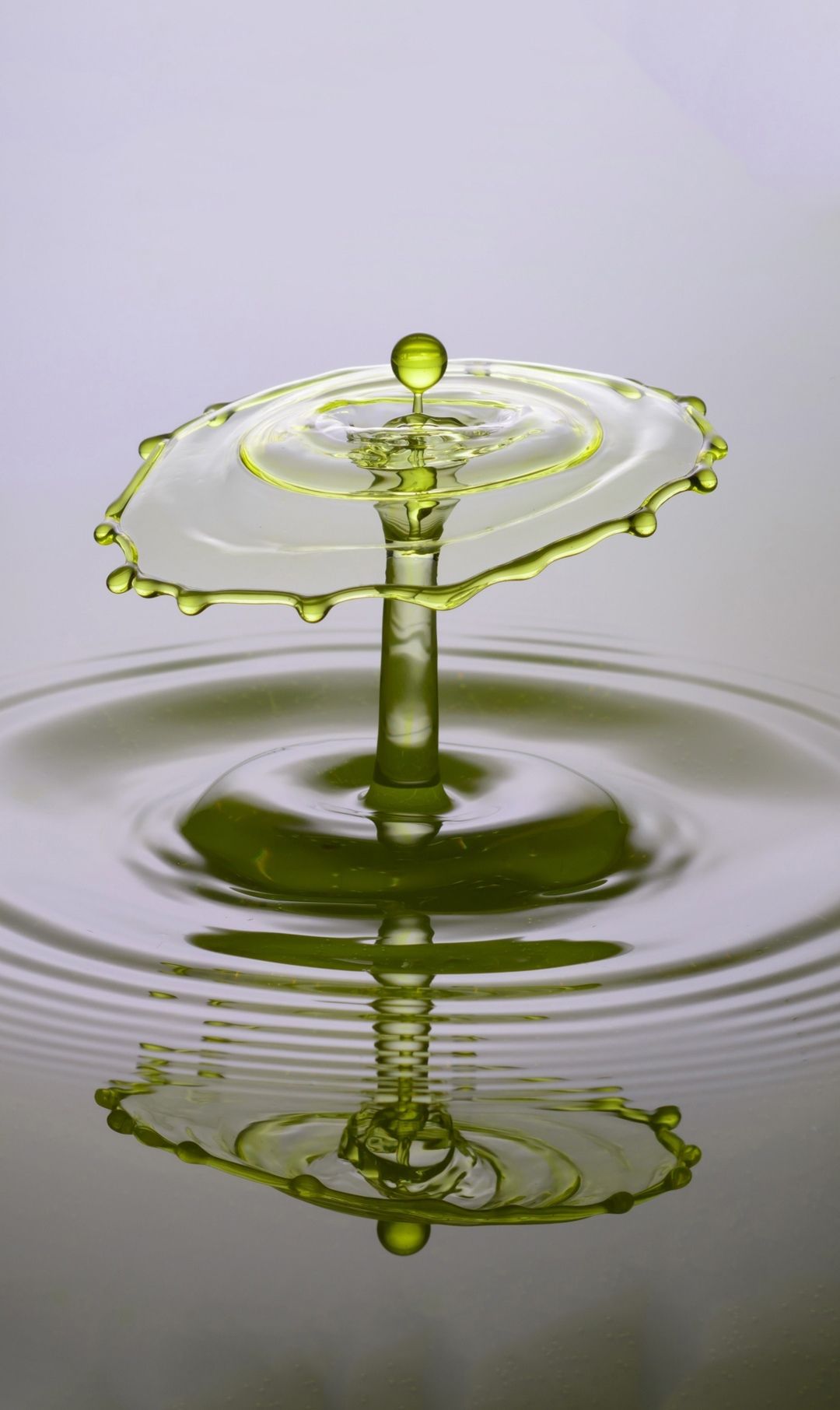 晶莹水滴唯美画面演绎大自然的美妙世界