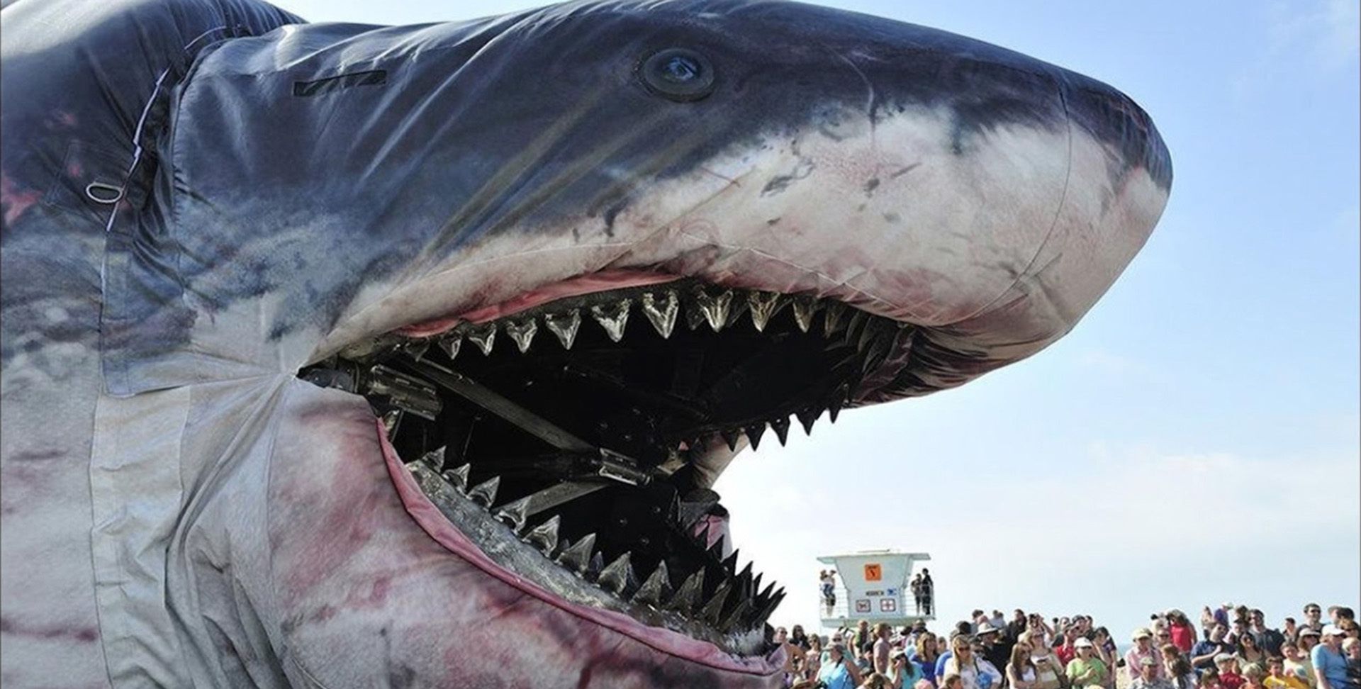 5种嘴巴超大的动物