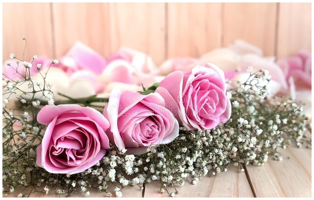 这三个星座智商高到离谱 智商 星座 天蝎 新浪新闻