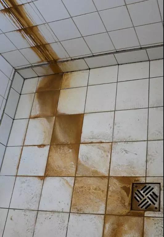 瓷砖污渍难清理?只要喷点它,轻松搞定!