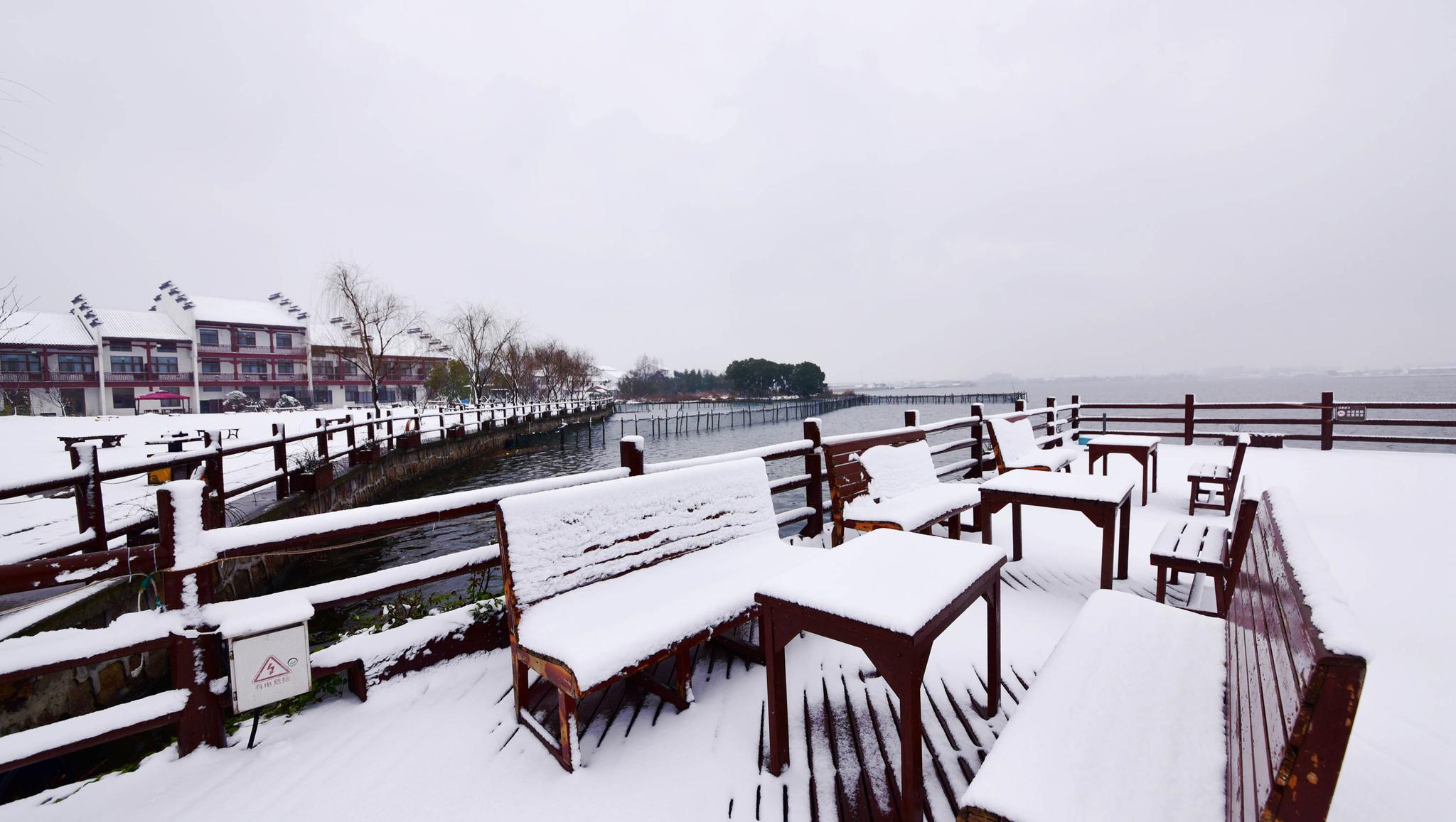 有雪的冬天才是完美的,这是无锡鹅湖玫瑰园的瑞雪图.