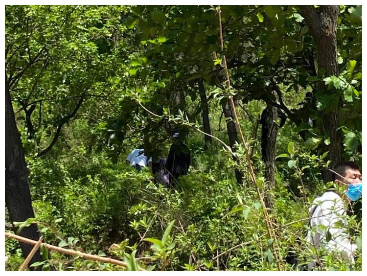 大连棠梨乐游谷高空游乐项目突发意外 一女游客从网红廊桥摔落