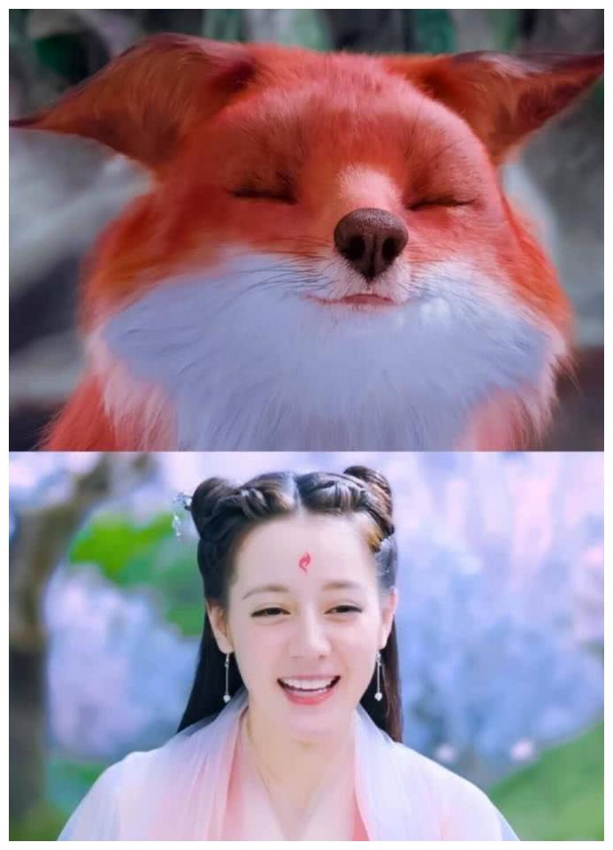 三生三世枕上书大结局前夕热巴疯狂翻牌剧透