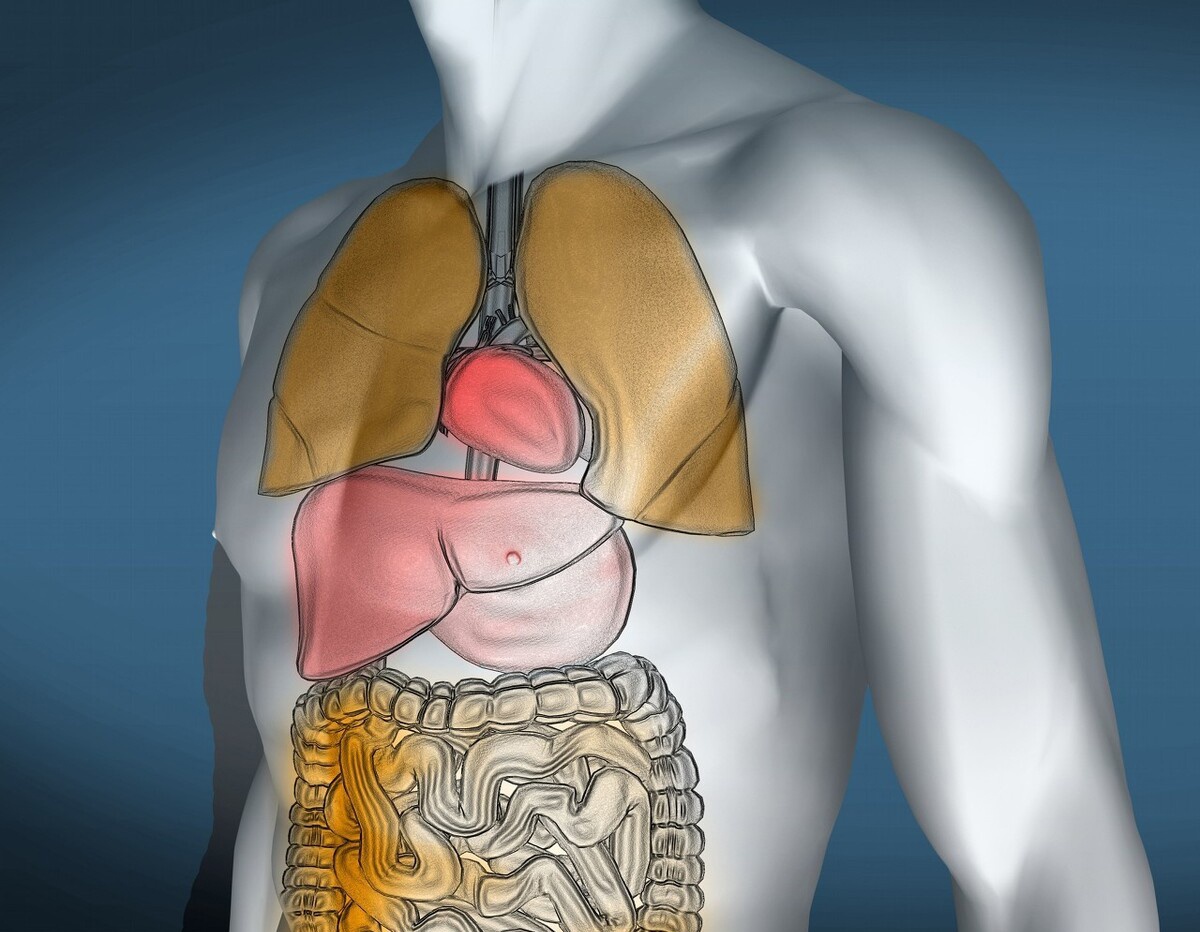 经常熬夜，对身体有哪些危害？（图）休闲区蓝鸢梦想 - Www.slyday.coM