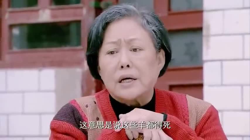苦乐村官万奶奶说所有羊都得死尖尖棍要去抢羊