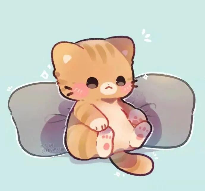 5/ 9奶萌奶萌的治愈小猫咪6/ 9奶萌奶萌的治愈