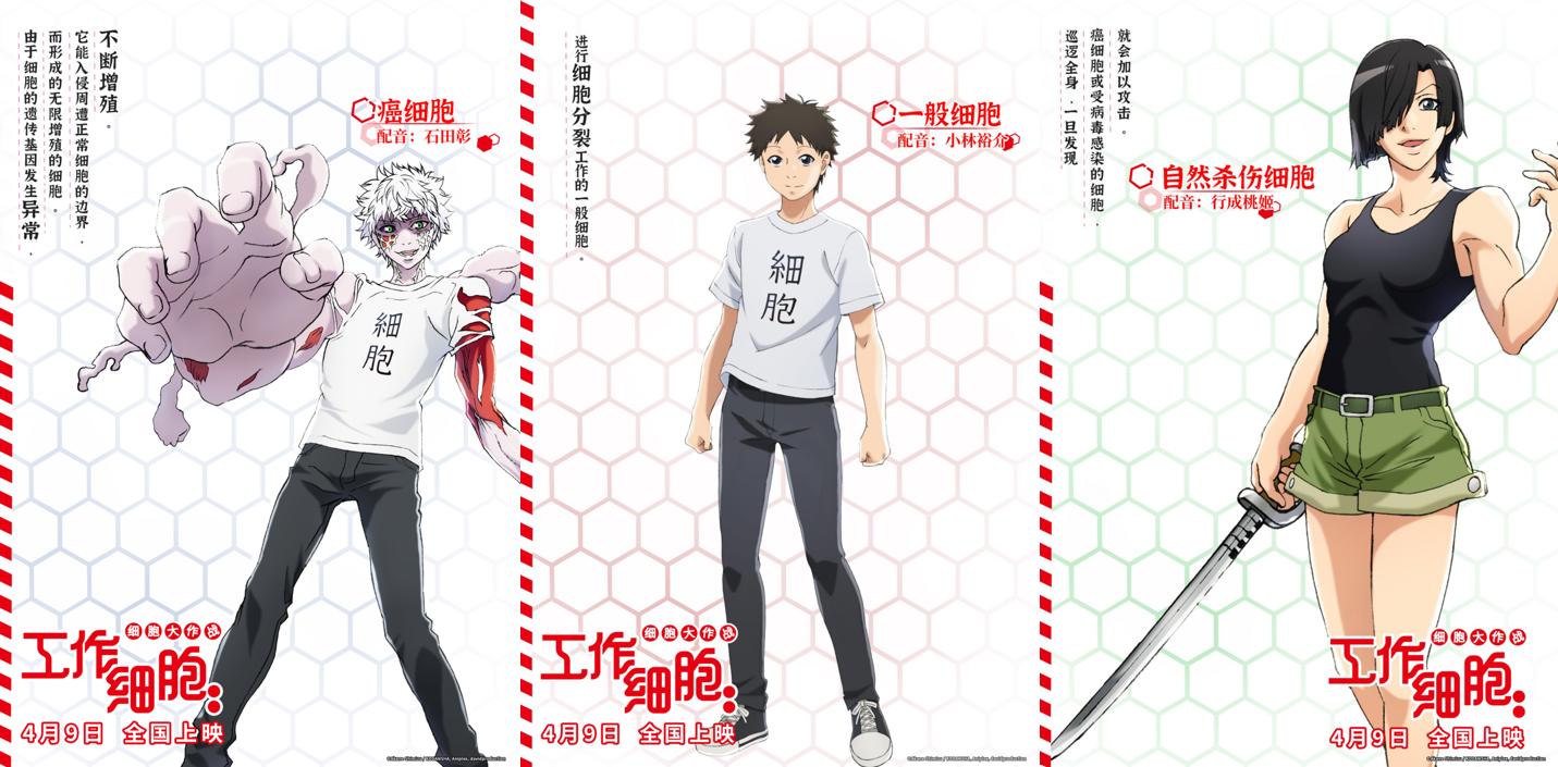 电影版工作细胞曝角色海报全明星阵容元气亮相