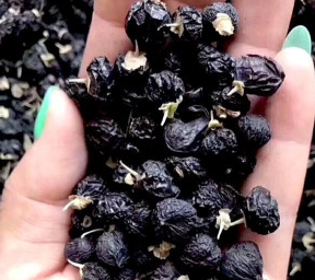 黑果杞子精选黑枸杞常吃几颗,或者用来泡水喝,能增强肾脏的排毒功能