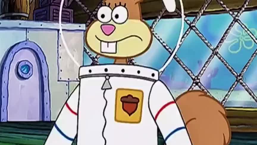 几位海洋生物向珊迪展示了自己的绝活儿