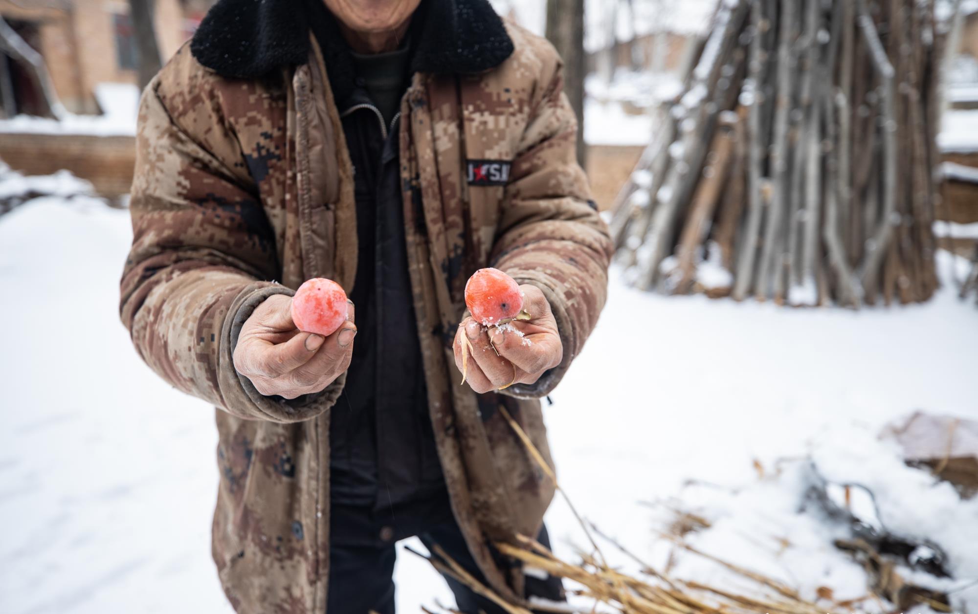 高粱杆下藏美食,大雪天吃最美味,河南大叔说有钱你都买不到