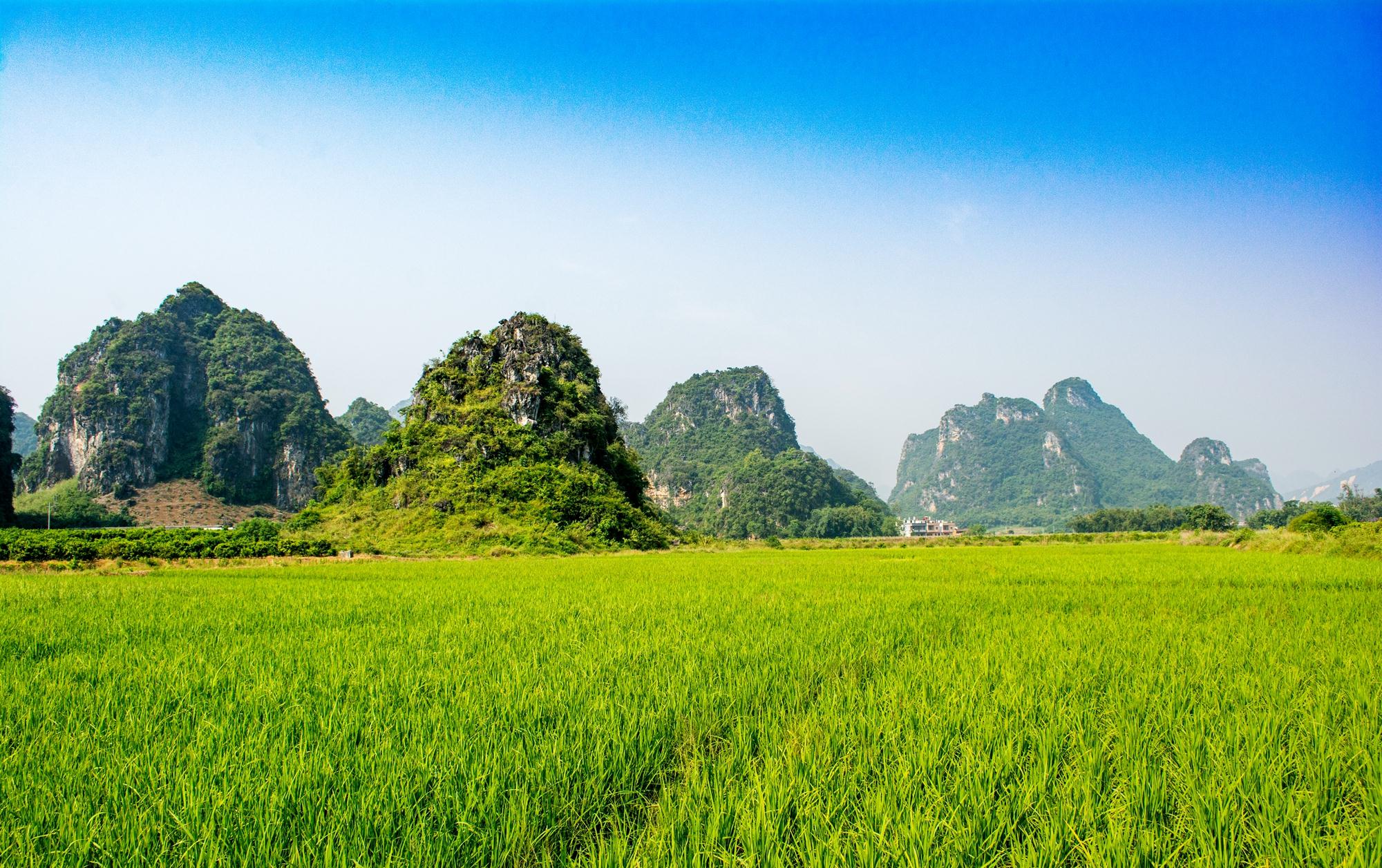 广东最美的田园风光堪比桂林山水如在画中游