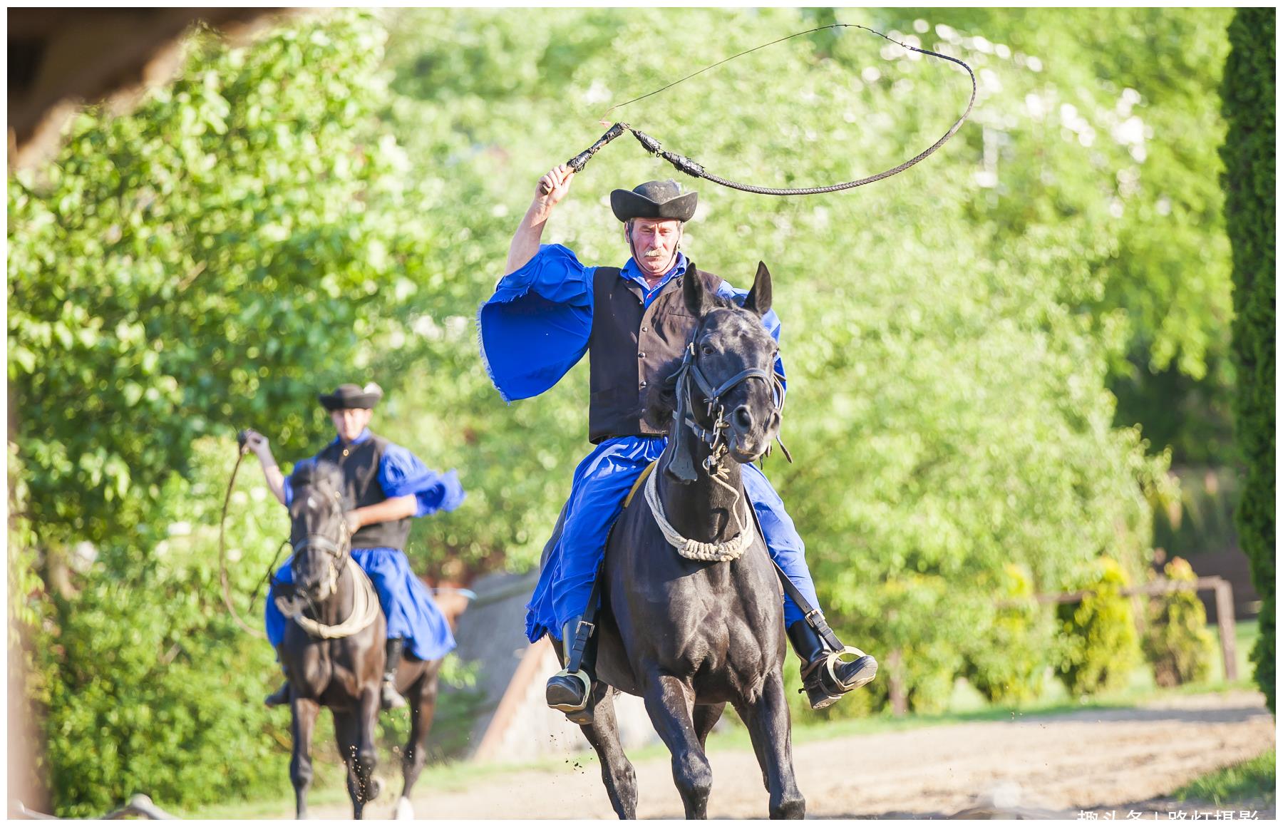 实拍匈牙利人的浪漫婚礼,在马场举行,风光迷人,让所有女孩心动