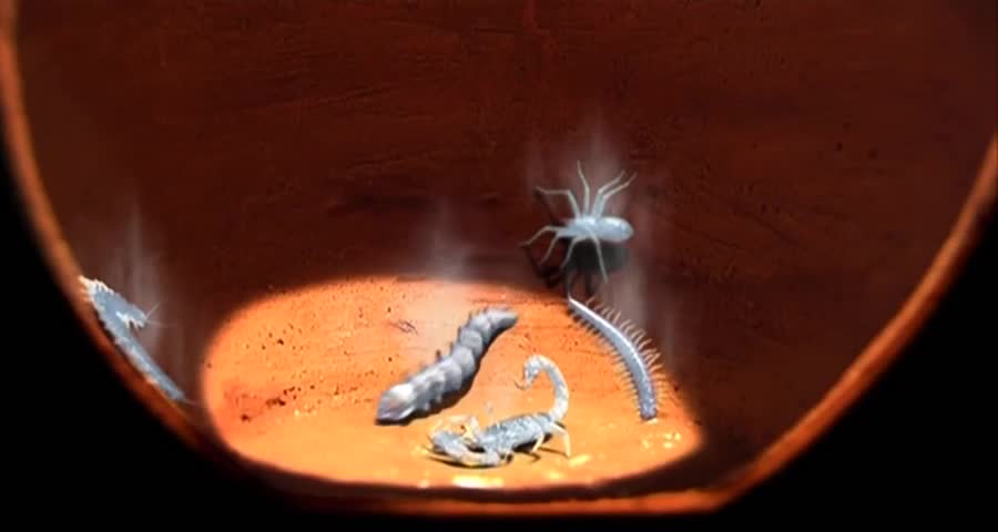 冰蚕的威力到底有多强大游坦之将手伸进去瞬间变成了冰雕