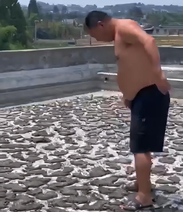 四川有多热？一男子屋顶养鱼十年，离家半月发现楼顶鱼已被晒干休闲区蓝鸢梦想 - Www.slyday.coM