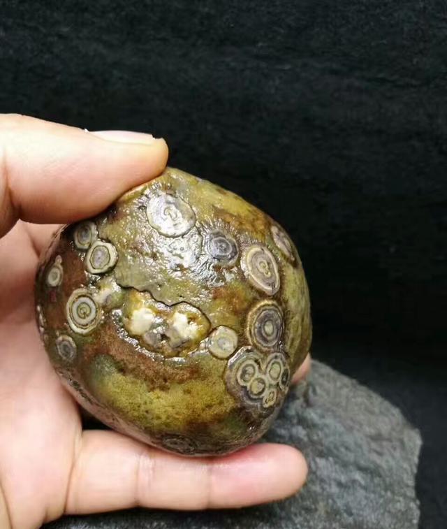 朋友捡到个天珠原石上面有好多眼