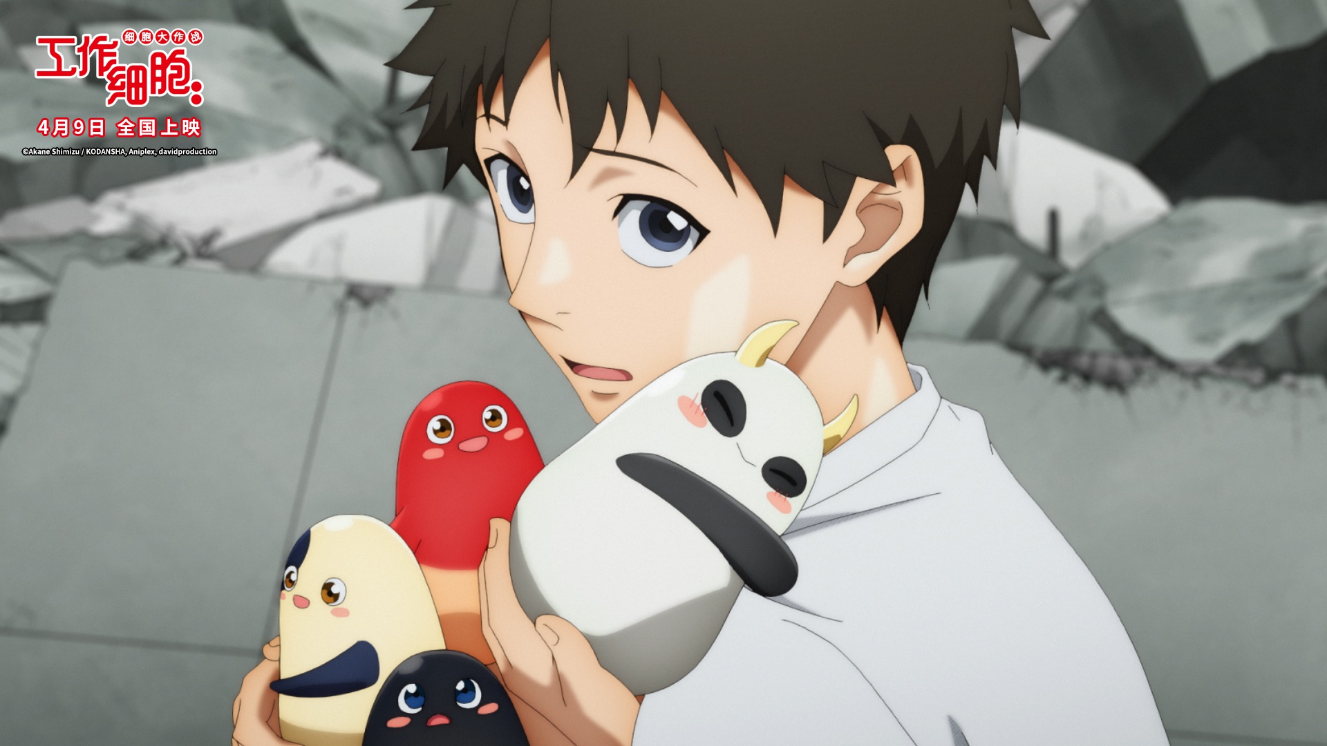 电影版工作细胞发布全新海报终极对决一触即发