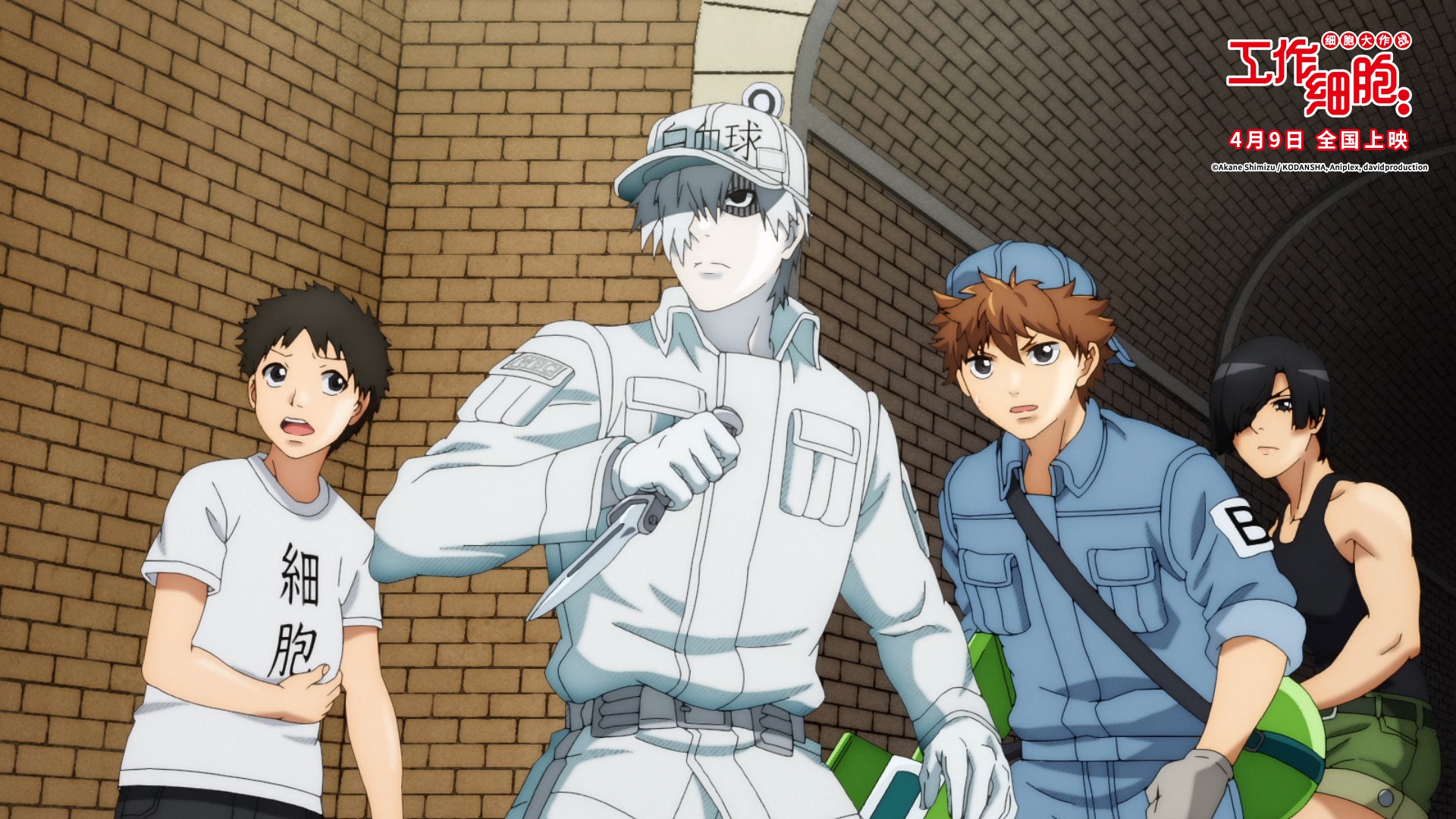 电影版工作细胞发布全新海报终极对决一触即发